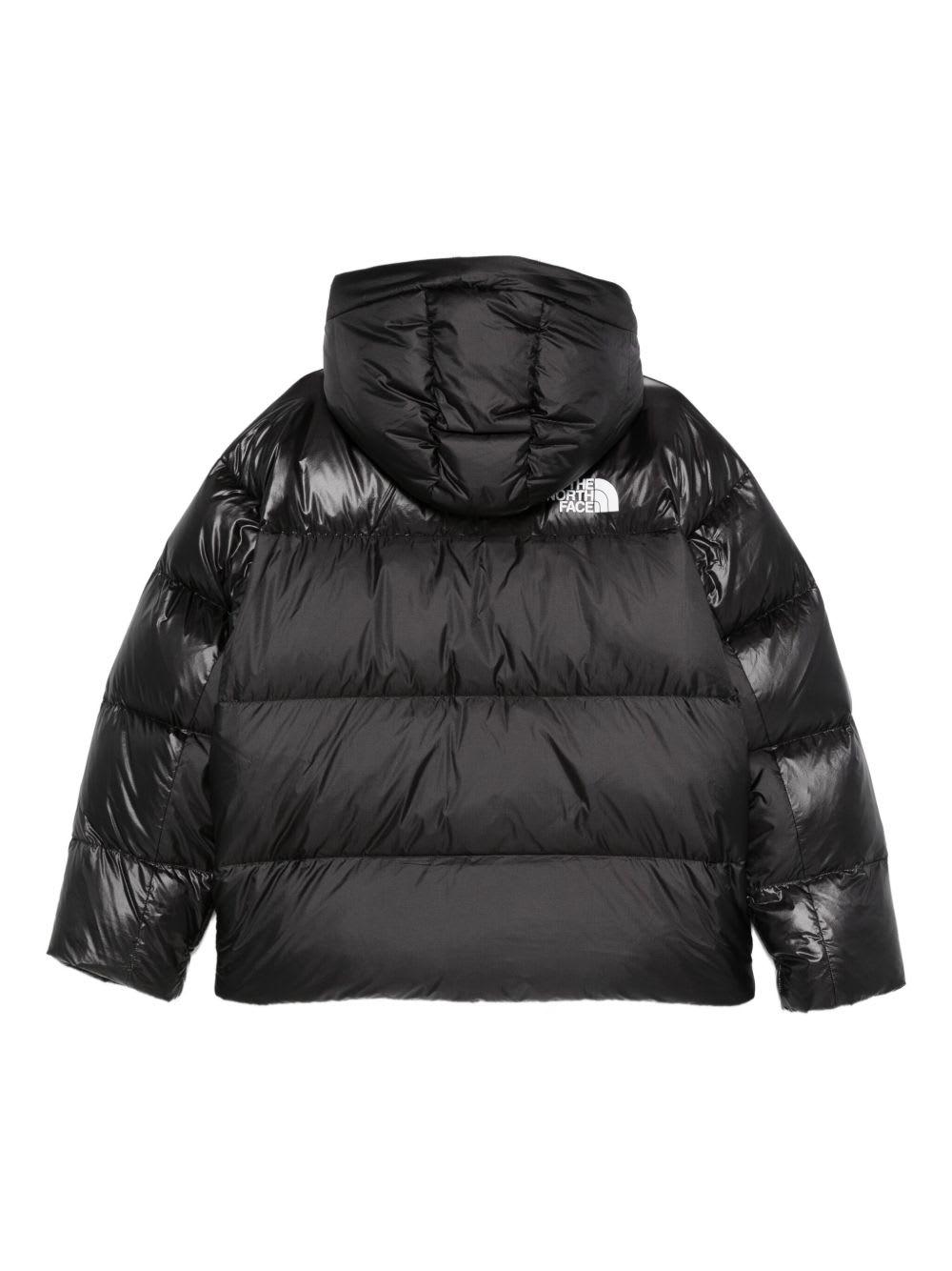 THE NORTH FACE Lightweight Insulated Down Jacket With High Collar In Black Product Image