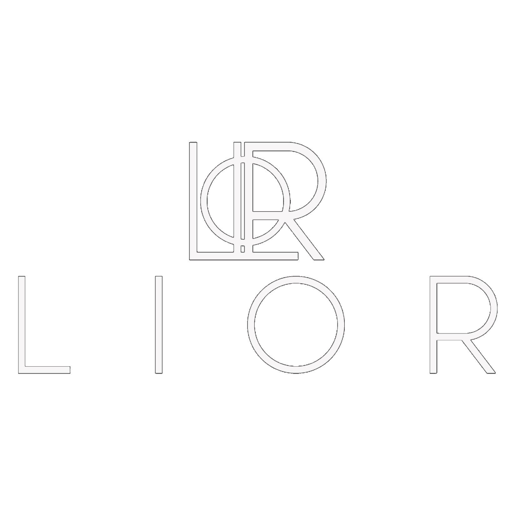 Lior Crossbody Shoulder Bag for Women-8 Colors Product Image