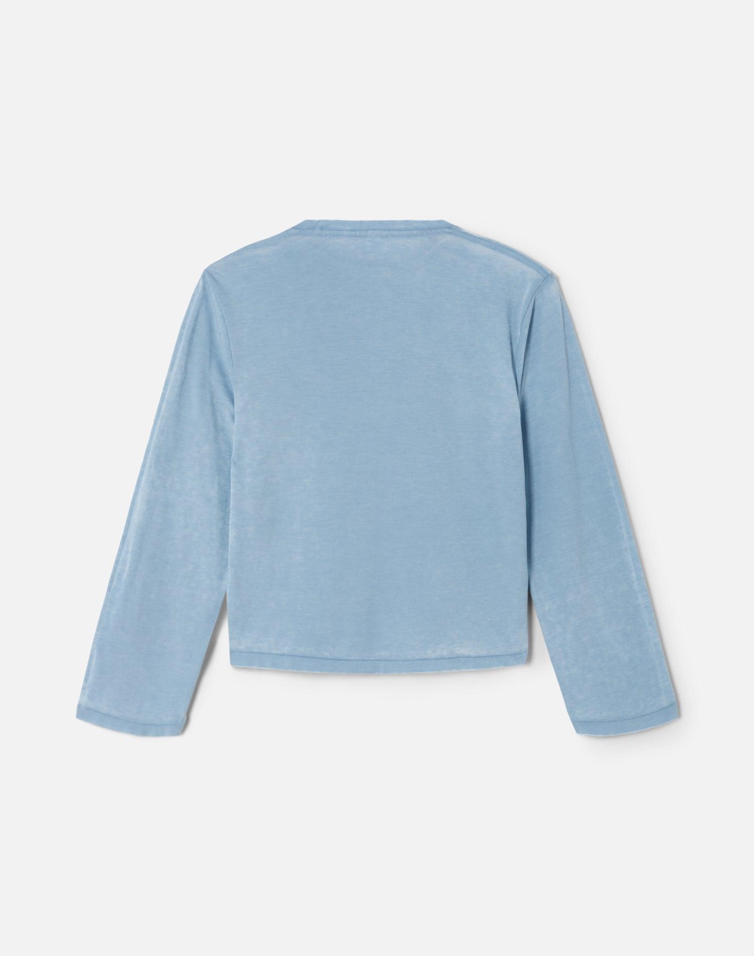 Hanes Burnout Long Sleeve Boxy Tee - Light Pacific Product Image