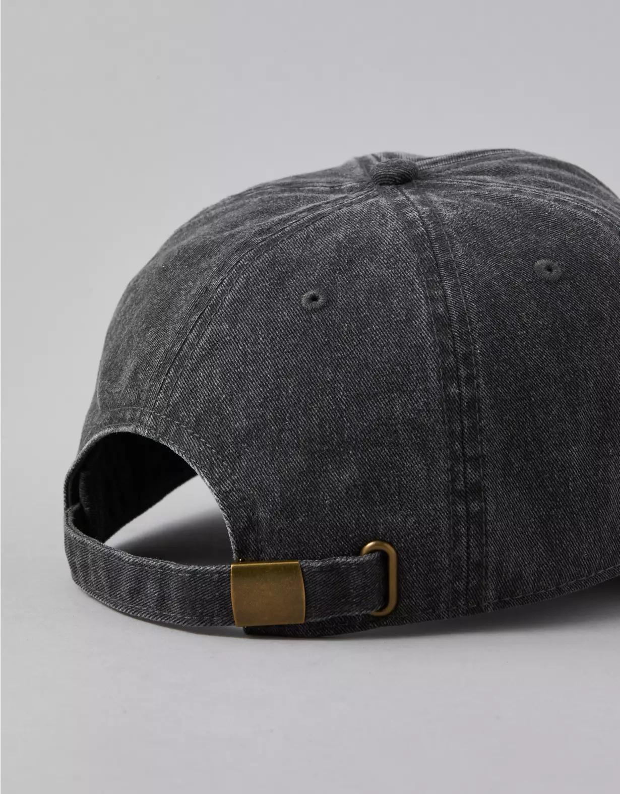 AE Logo Baseball Hat Product Image