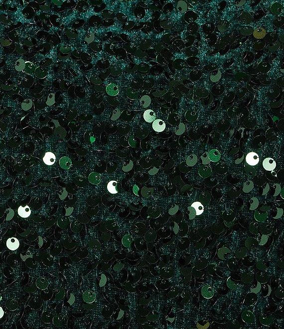 Evolutionary Coordinating Sequin Scoop Neck Long Sleeve Top Product Image