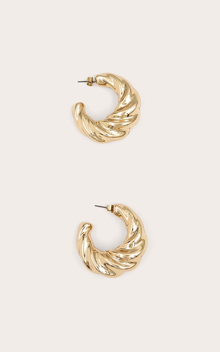 Gold Twist Detail Hoop Earrings Product Image