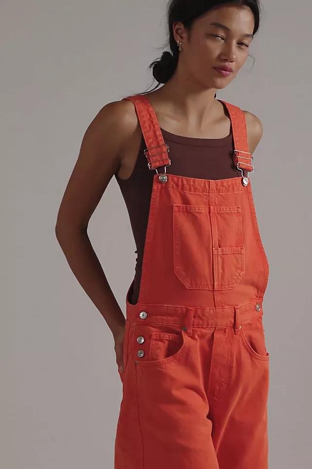 We The Free Good Luck Barrel Overalls Product Image
