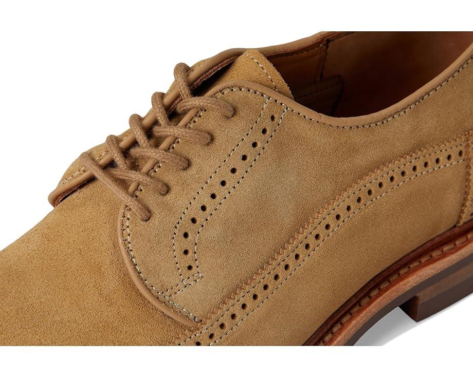 Men's Allen Edmonds Winstonmok Derby Shoes Product Image