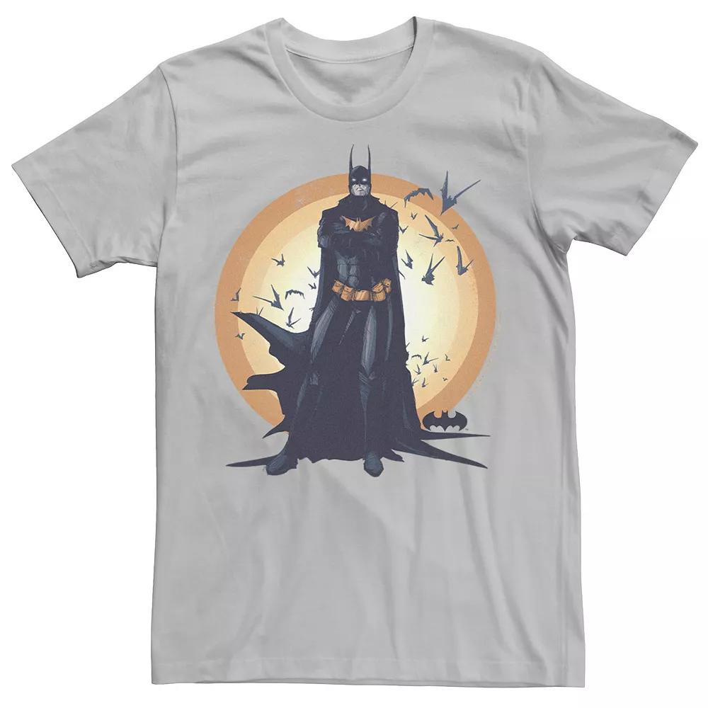 Men's DC Fandome Catwoman Cat Burglar Portrait Tee, Size: Small, Silver Product Image