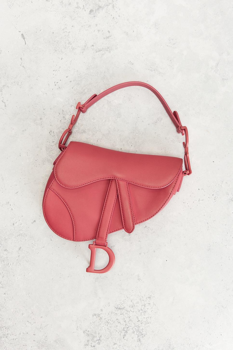 Dior Mini Saddle Bag FWRD Renew Product Image
