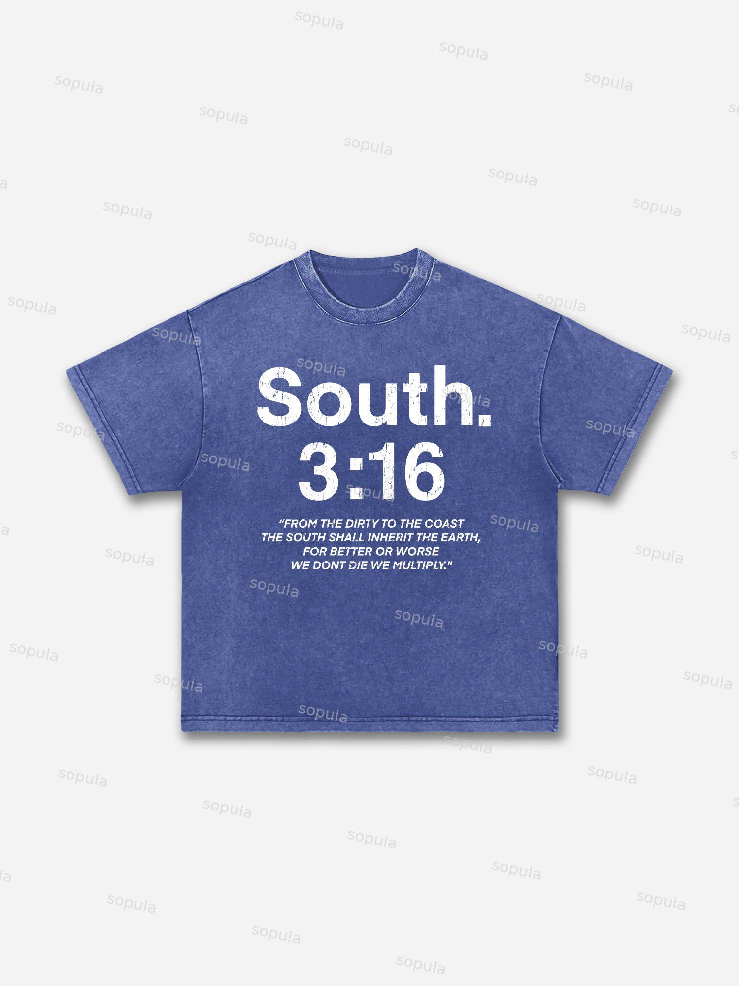 South 3：16 Placard Graphic Acid Wash T-shirt Product Image
