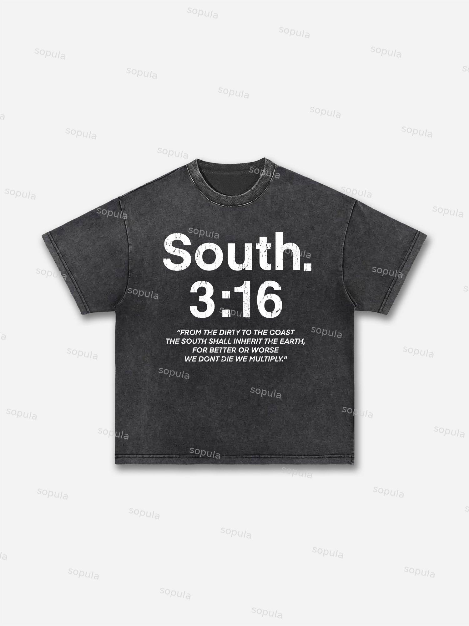 South 3：16 Placard Graphic Acid Wash T-shirt Product Image