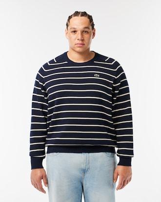 Striped Cotton Crew Neck Sweater Product Image