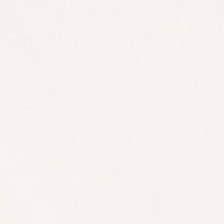 SLIM LIGHTWEIGHT LONG-SLEEVED TOP Product Image