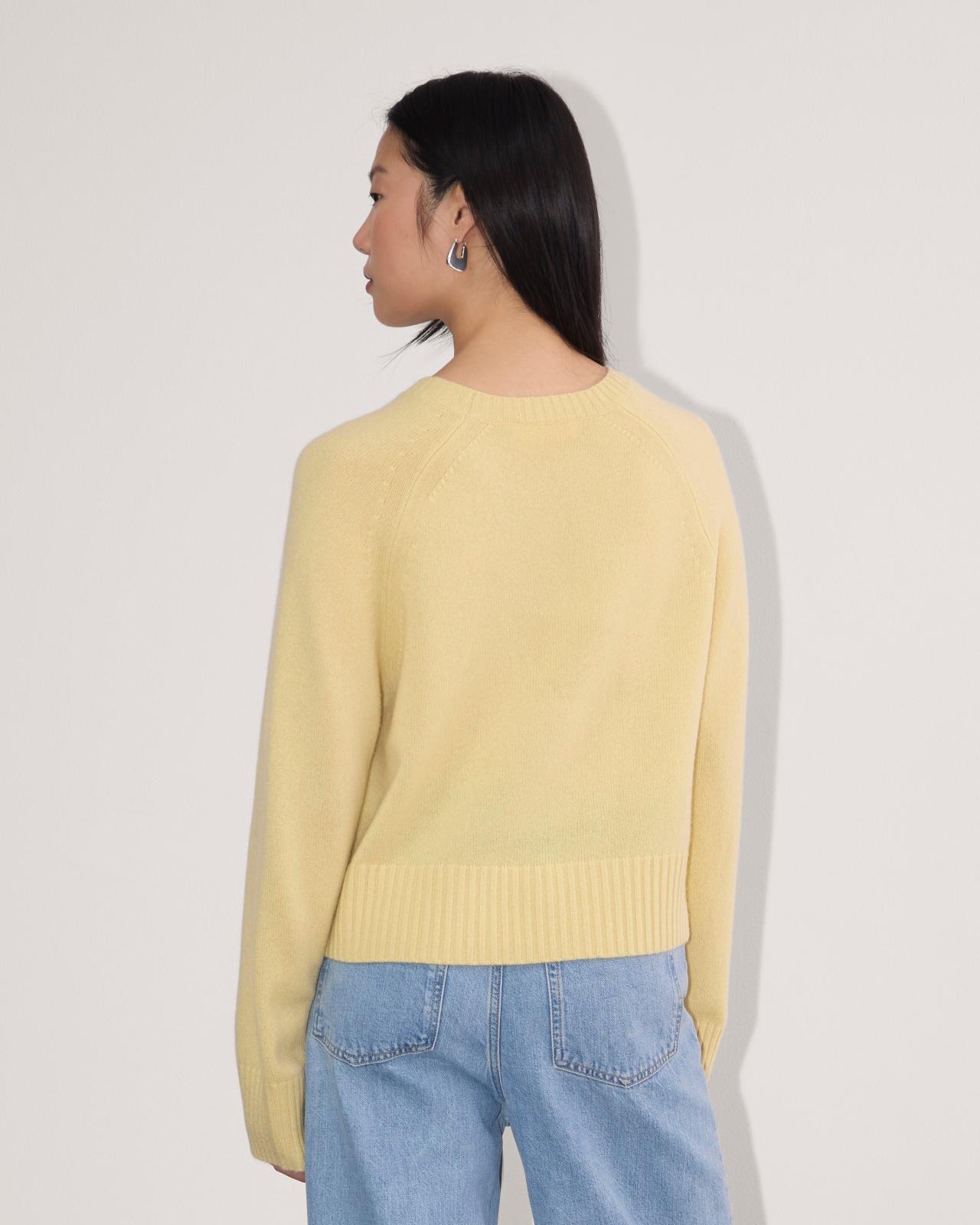 Womens Boxy Crew in Cashmere Sweater by Everlane Product Image