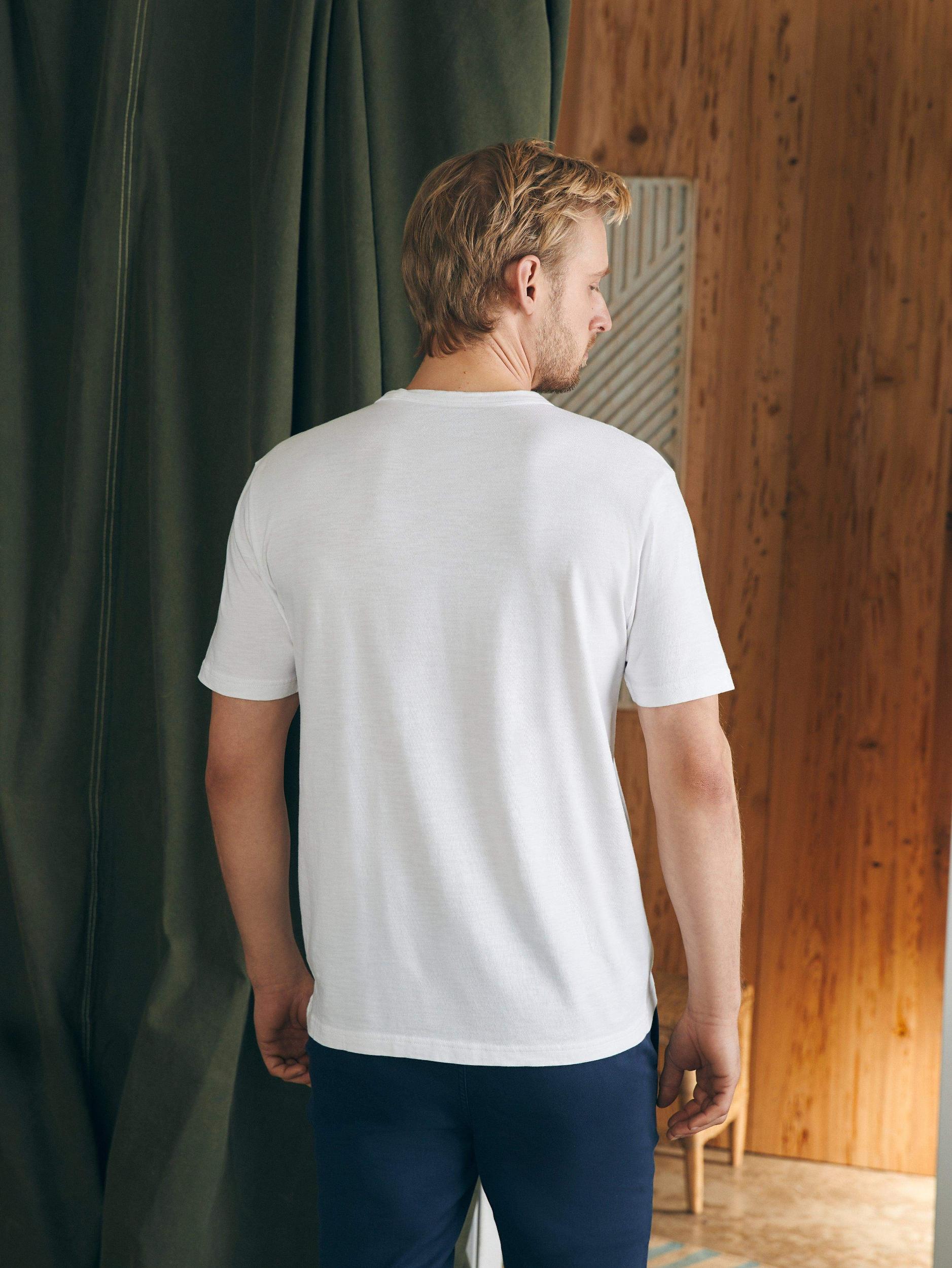 Surf Stripe Sunwashed Tee (Tall) - White Male Product Image