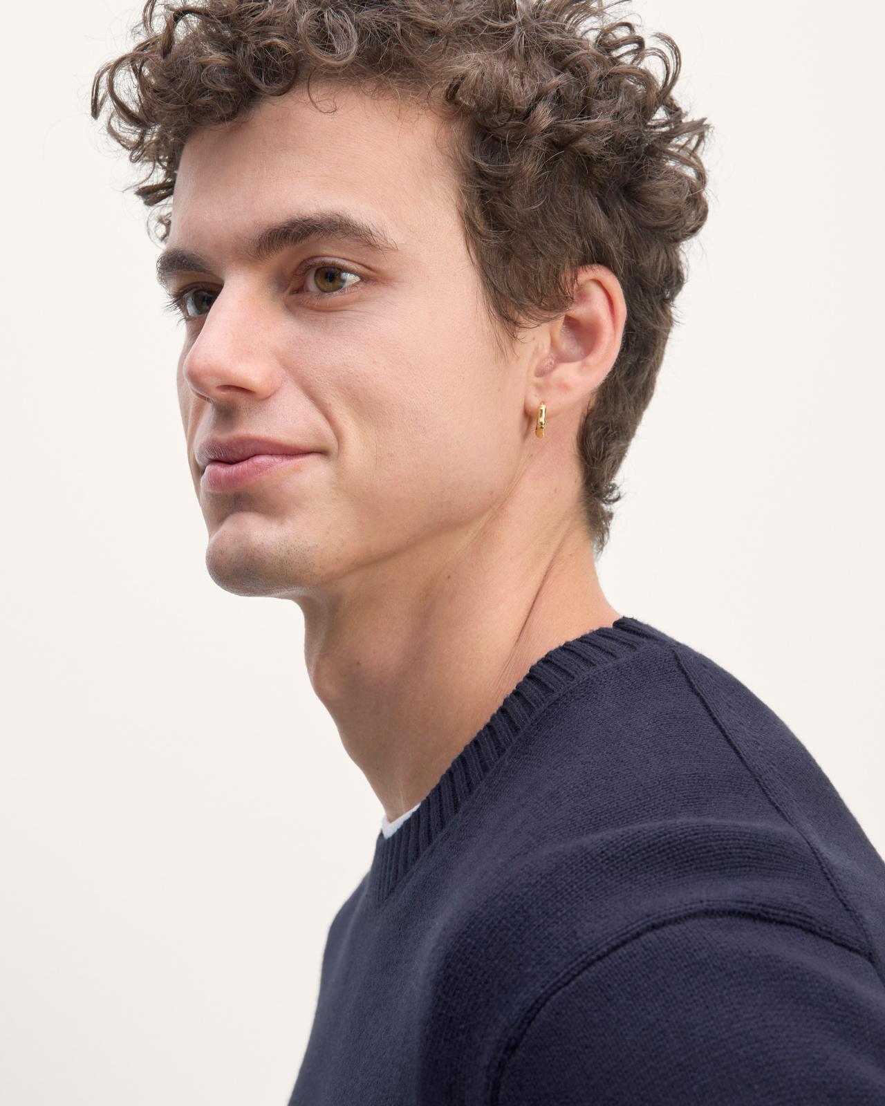 Mens Classic Sweater in Everyday Cotton by Everlane Product Image