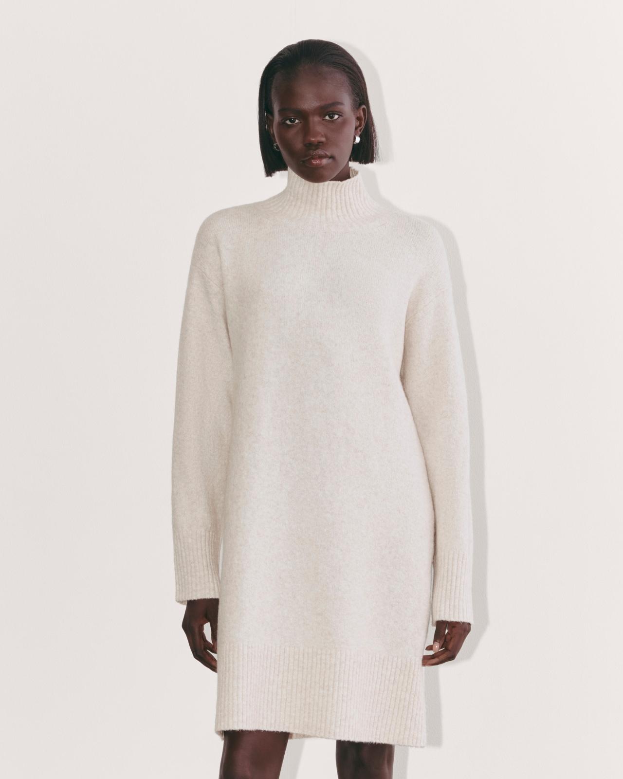 Womens Sweater Dress in Plush Cotton by Everlane Product Image