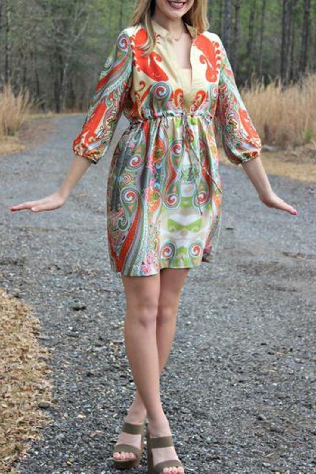 Paisley V-Neck Dress Product Image