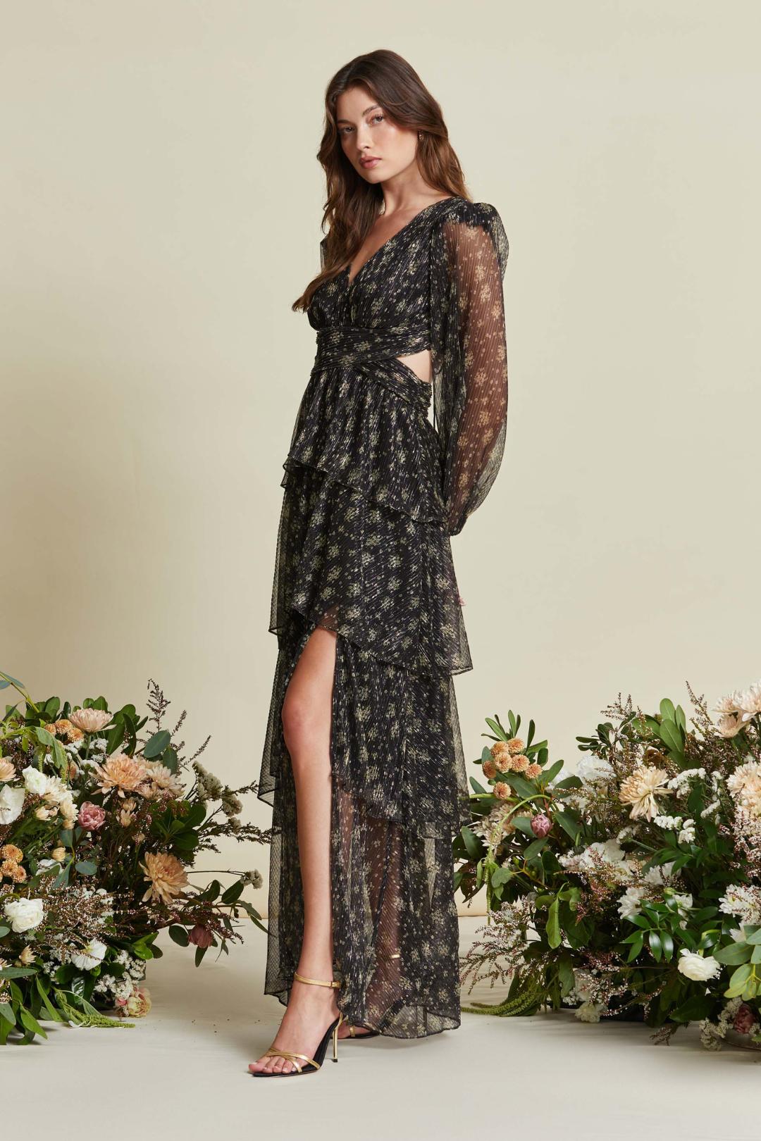 Anora Maxi Dress Product Image