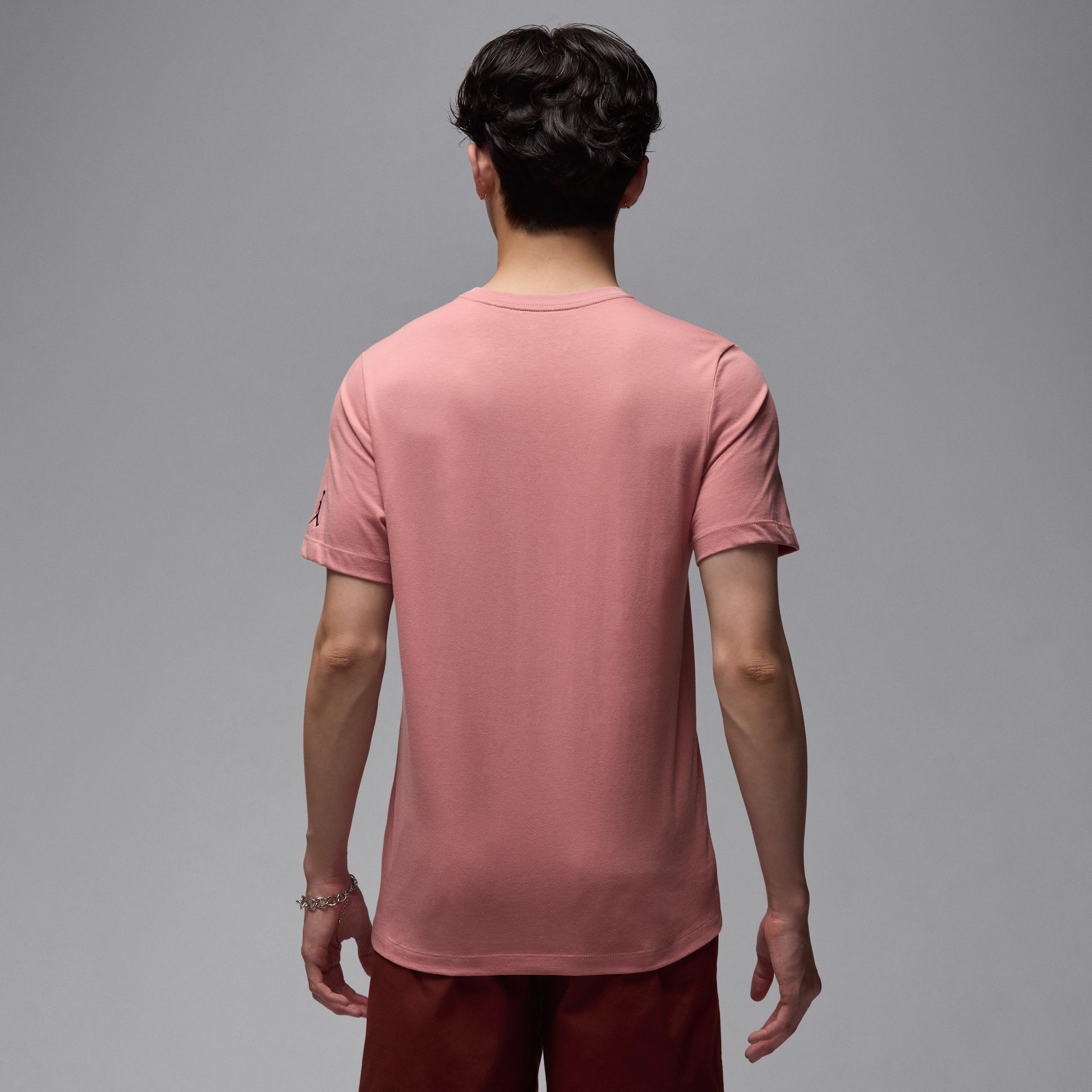 Mens Jordan Air T-Shirt | DM3182-685 Product Image