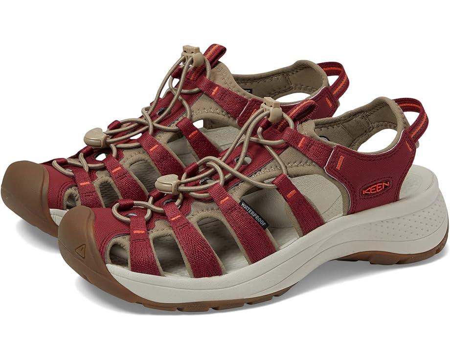 Newport H2 Product Image