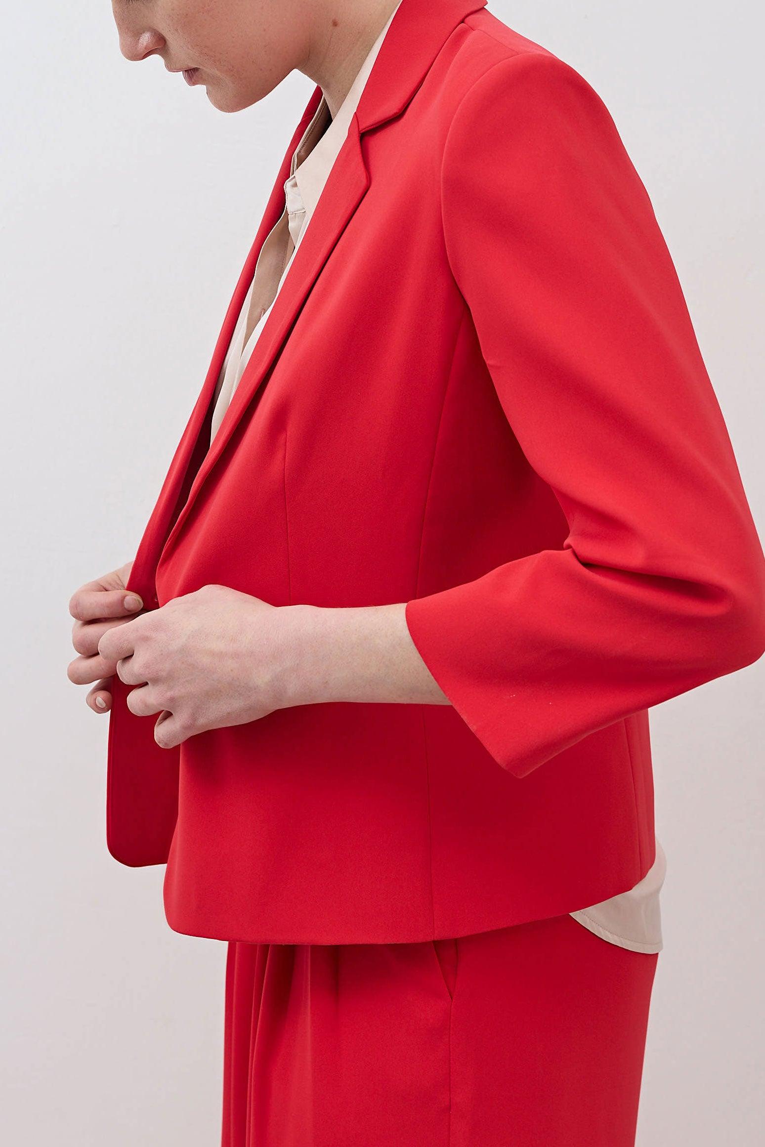 The Shrunken Blazer Product Image