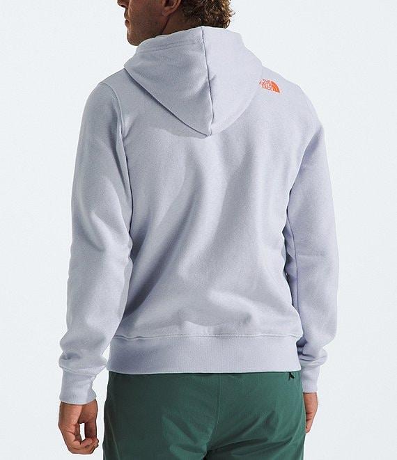 The North Face Animals We Love Bear Graphic Hoodie Product Image