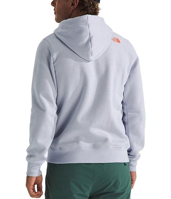 The North Face Animals We Love Bear Graphic Hoodie Product Image