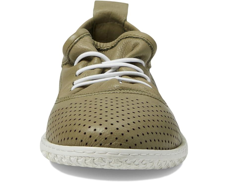 Picasa Product Image