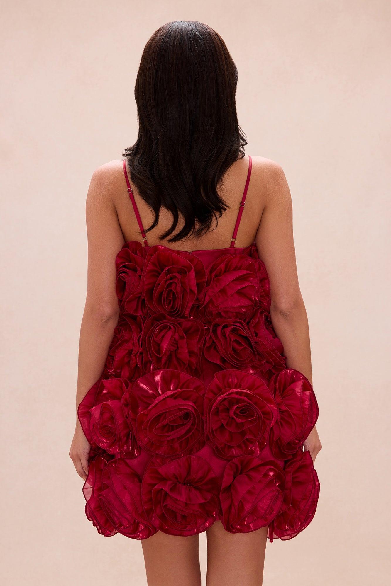 Wild Roses Floral Applique Mini Dress - Wine Female Product Image