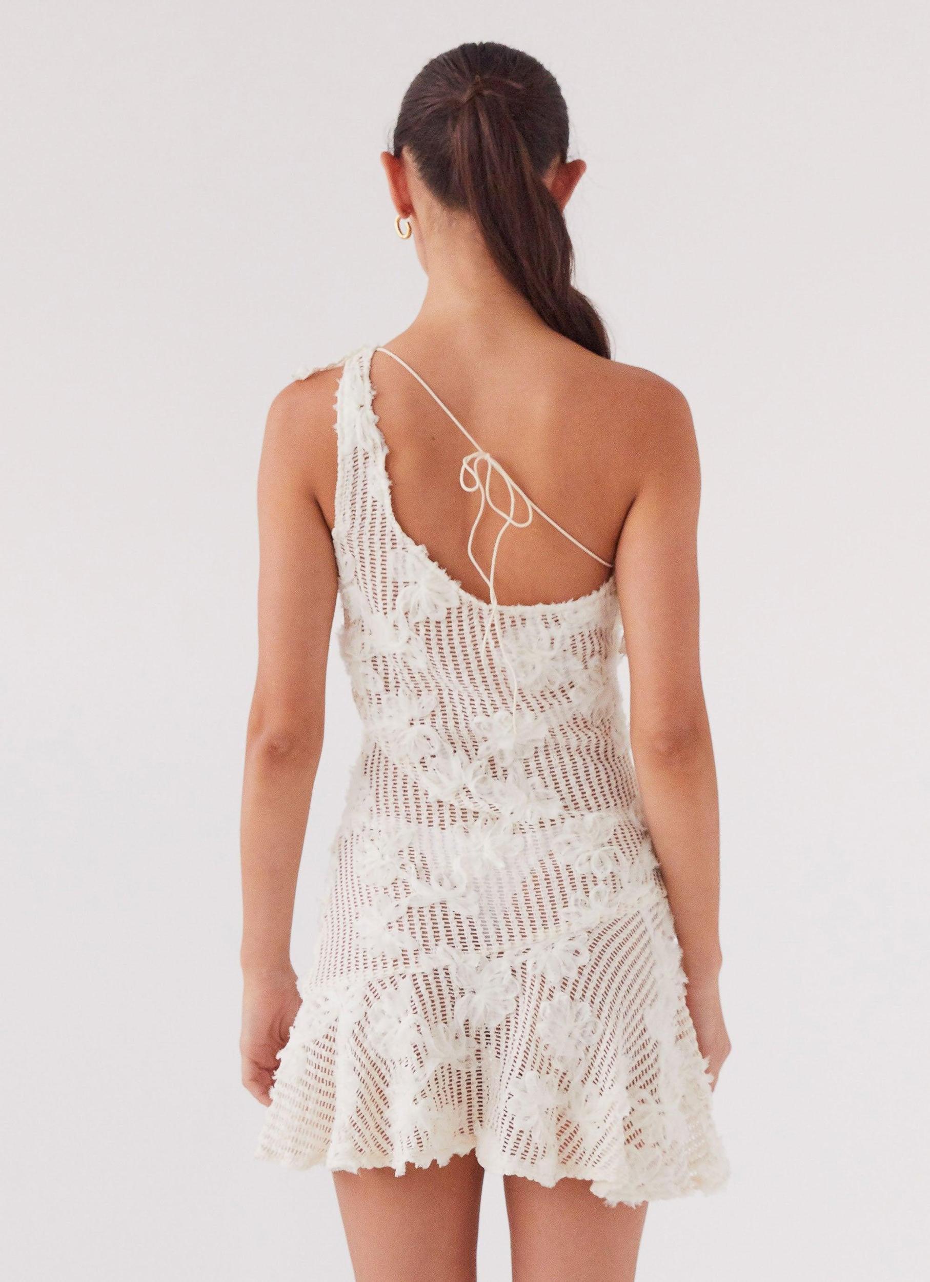 Juliette Embroidered Mini Dress - Ivory Tea Product Image