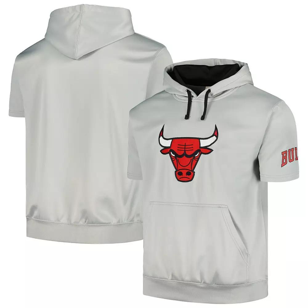 Men's Fanatics Branded Silver/Black Chicago Bulls Short Sleeve Pullover Hoodie,  Product Image