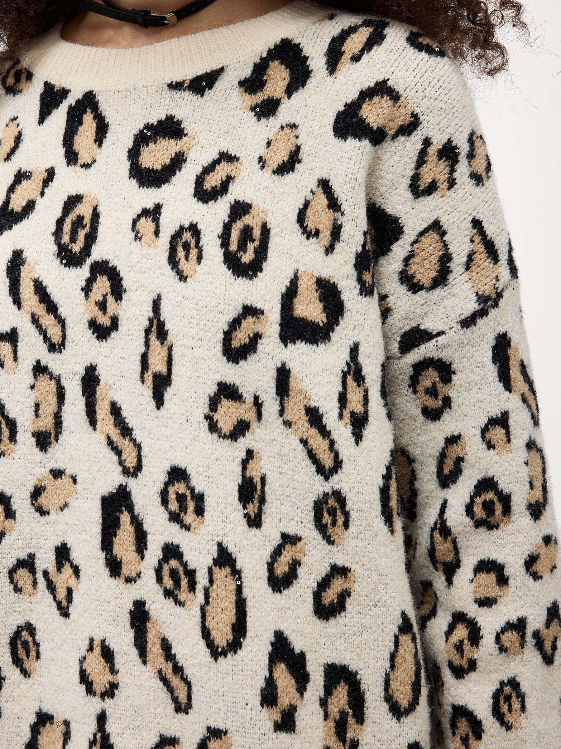 Aelfric Eden Leopard Graphic Sweater Product Image