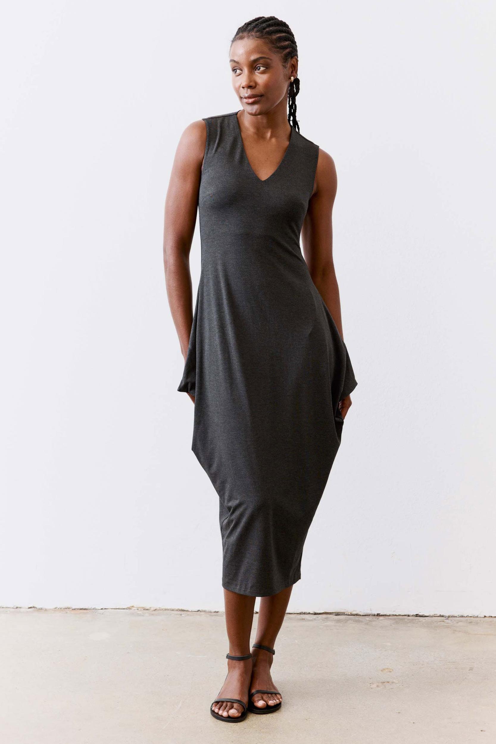 Iconic Sleeveless Dress Product Image