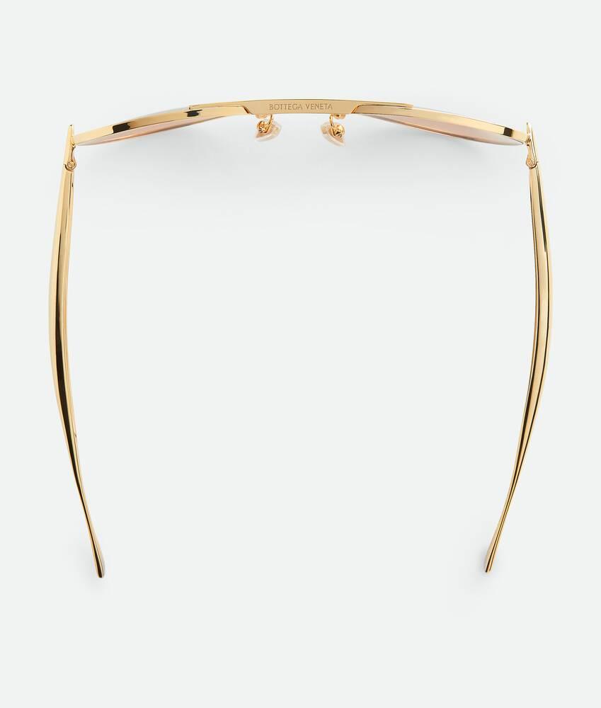 Sardine Aviator Sunglasses in Gold/brown Product Image