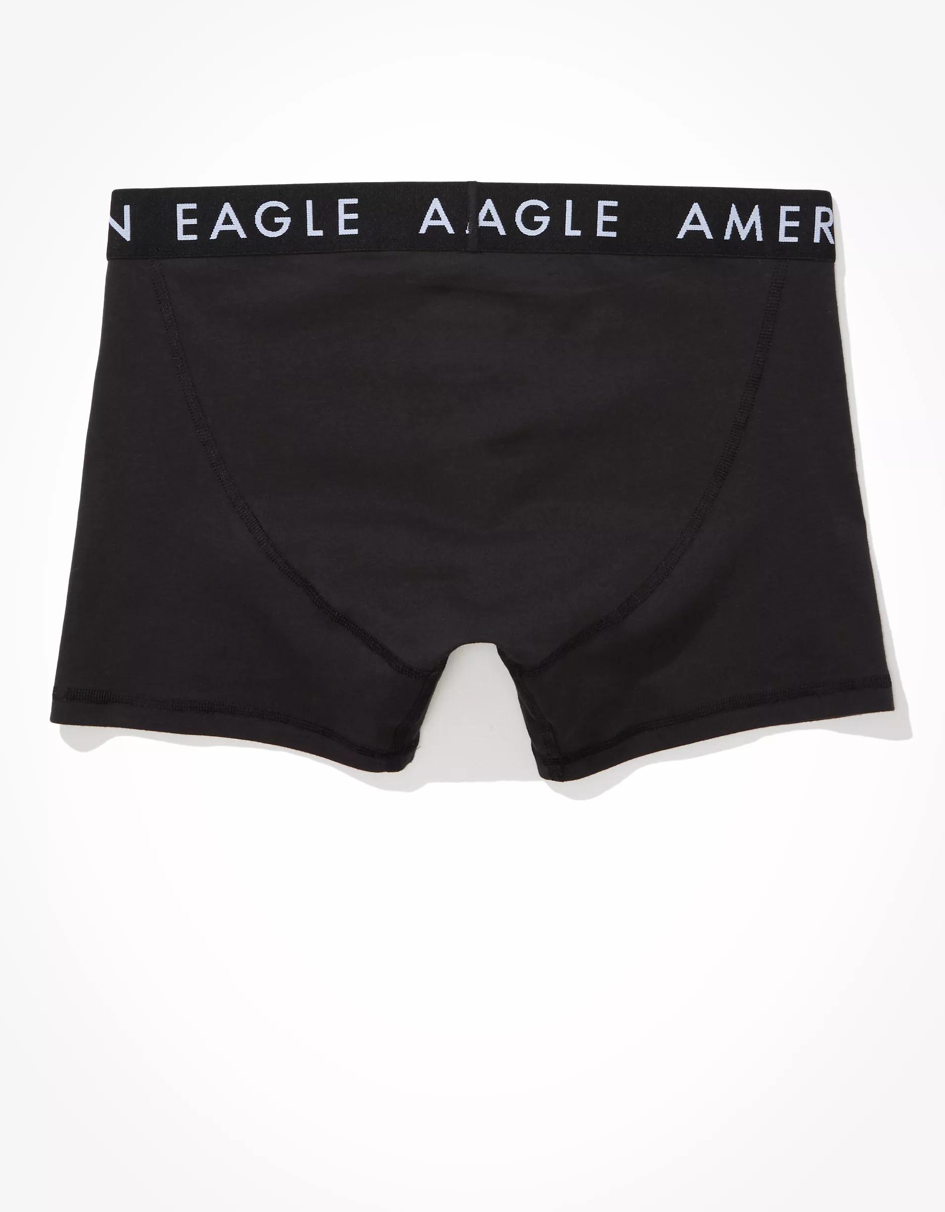 AEO Men's Eggplants 4.5" Classic Boxer Brief Product Image