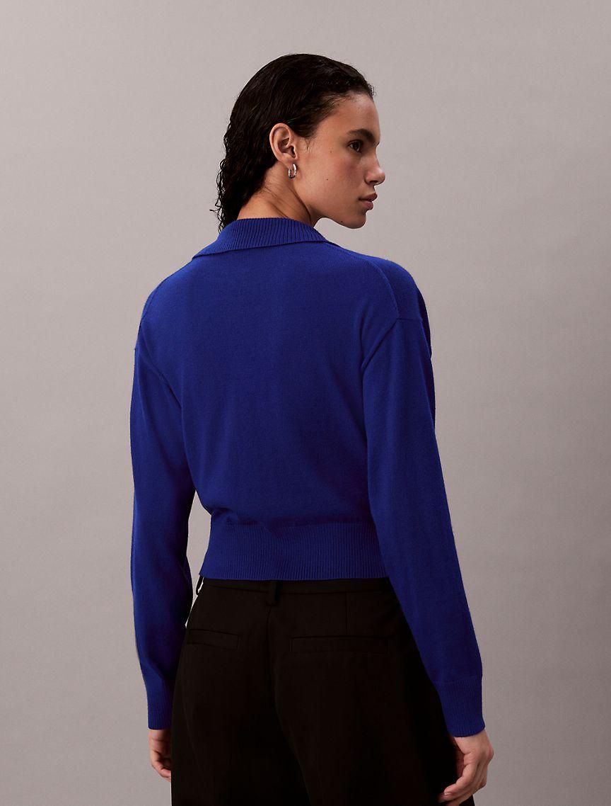 Merino Wool Blend Relaxed Polo Sweater Product Image