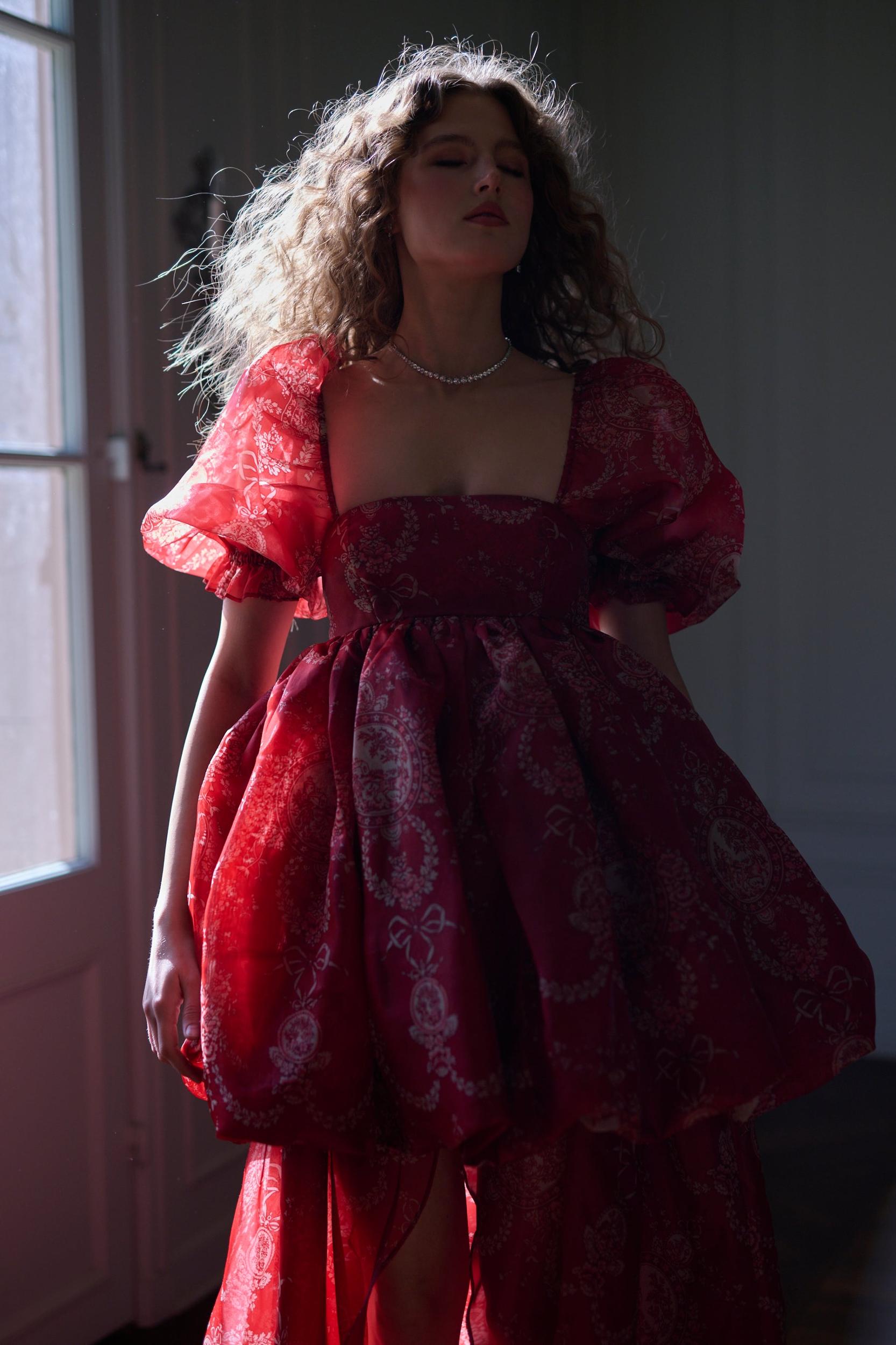 The Ornament Fairytale Gown Product Image