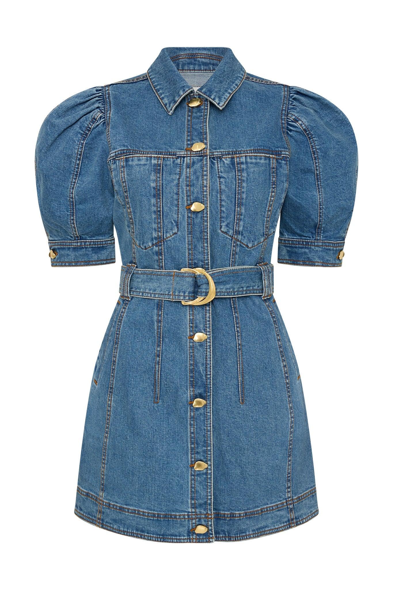 Adriana Puff Sleeve Mini Dress Product Image