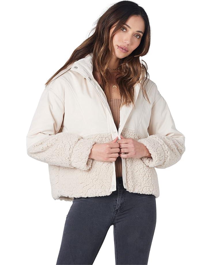 Padded High Neck Bomber Jacket Product Image