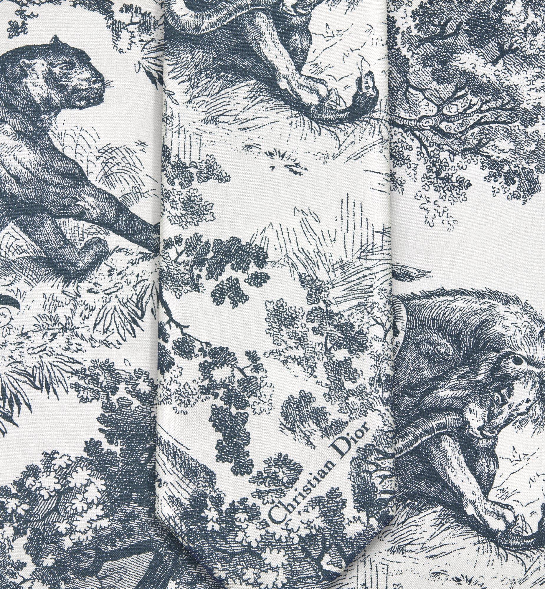 Dioriviera Maxi Toile de Jouy Sauvage Mitzah Scarf Product Image