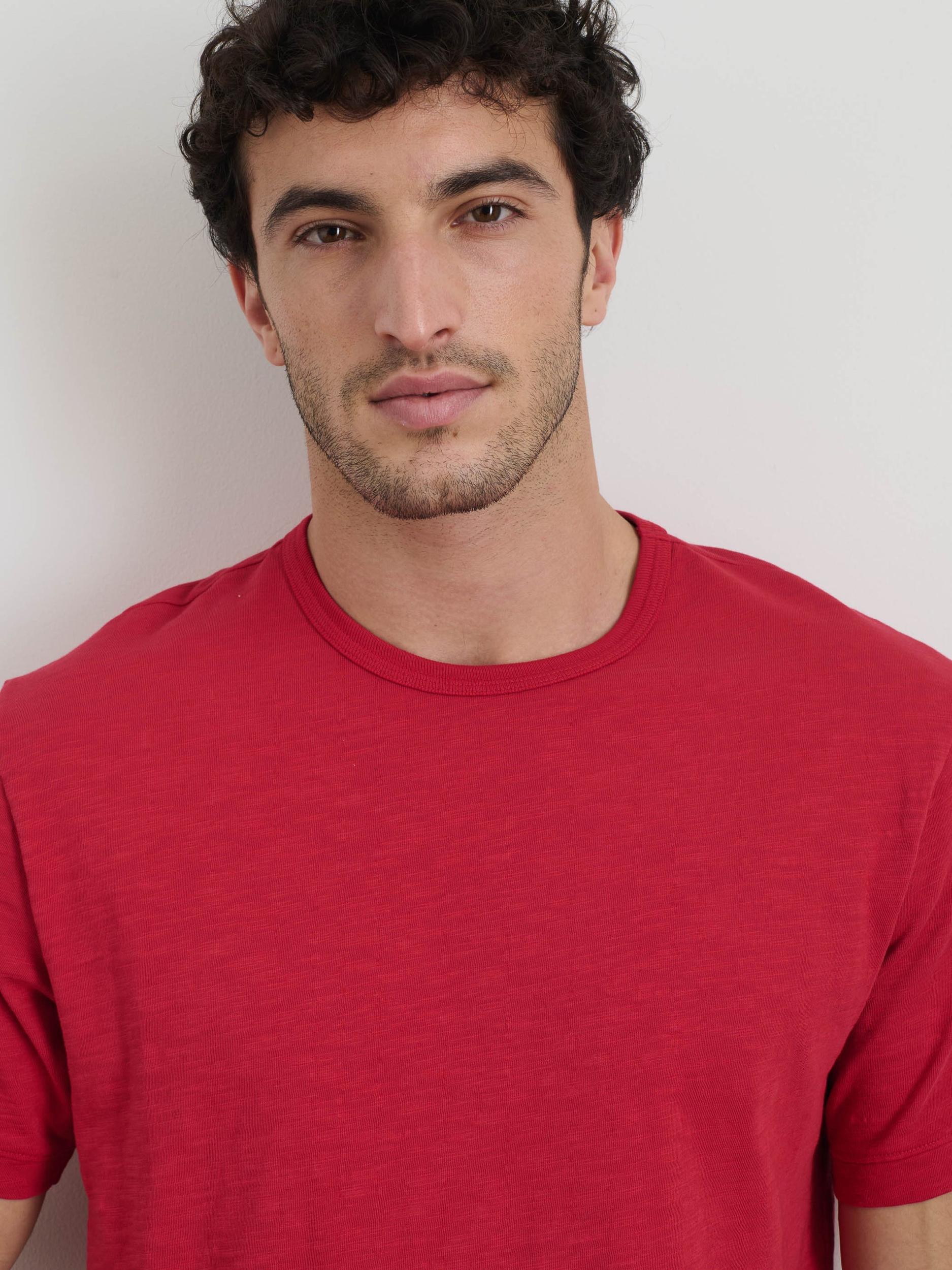 The Standard T-Shirt In Slub Cotton Product Image