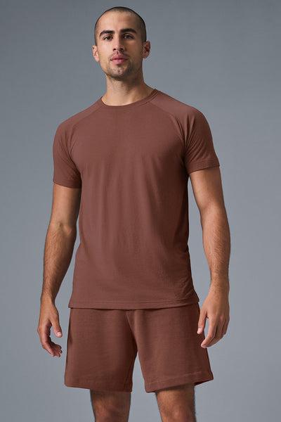 Triumph Raglan Tee - Chestnut Product Image