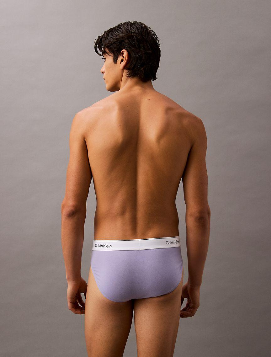 Icon Cotton Stretch 3-Pack Hip Brief Product Image