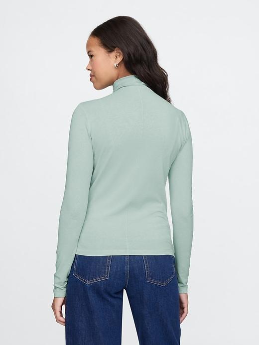 Featherweight Turtleneck Product Image