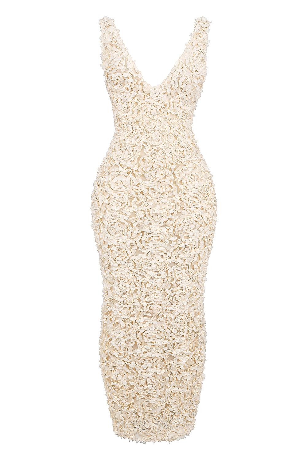 Carena  creme plunge floral appliqué maxi dress Product Image