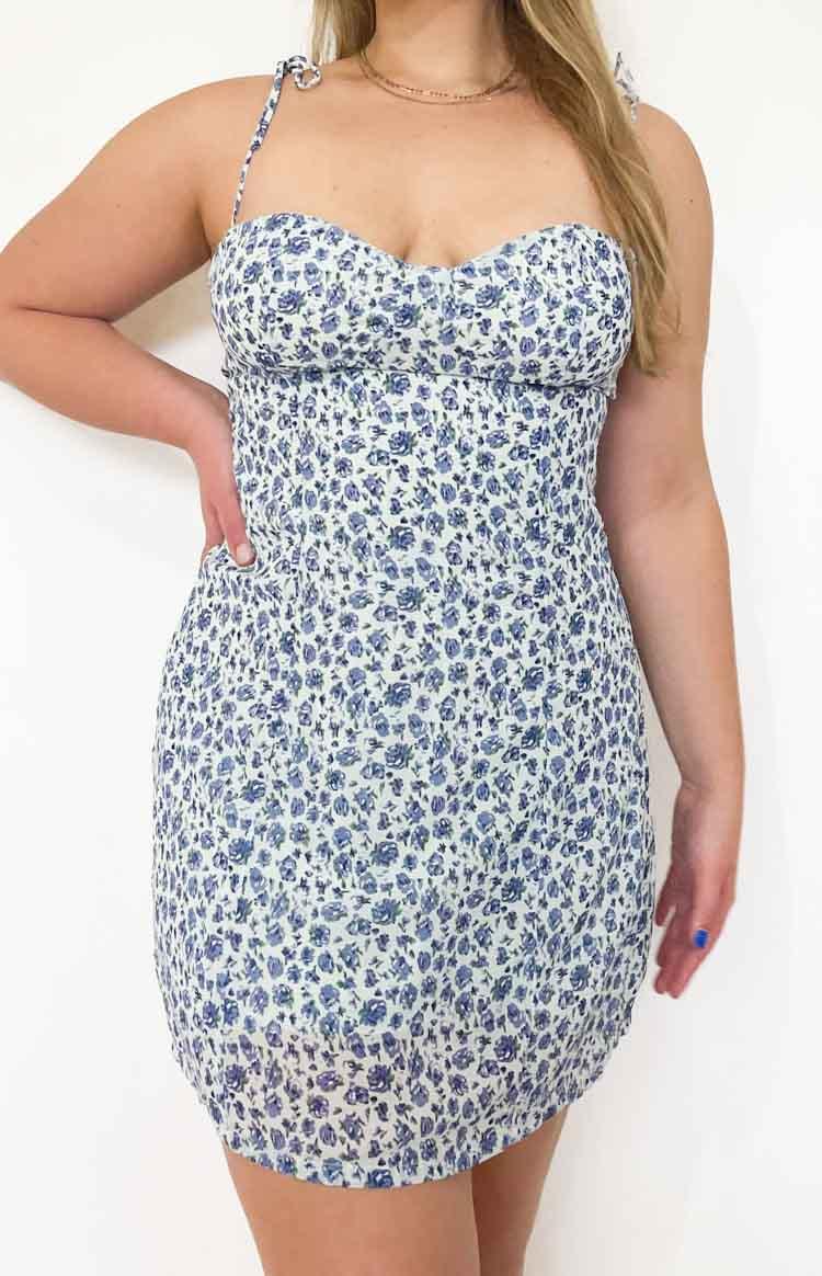 Penny Lane Dress Blue Floral Baby Product Image