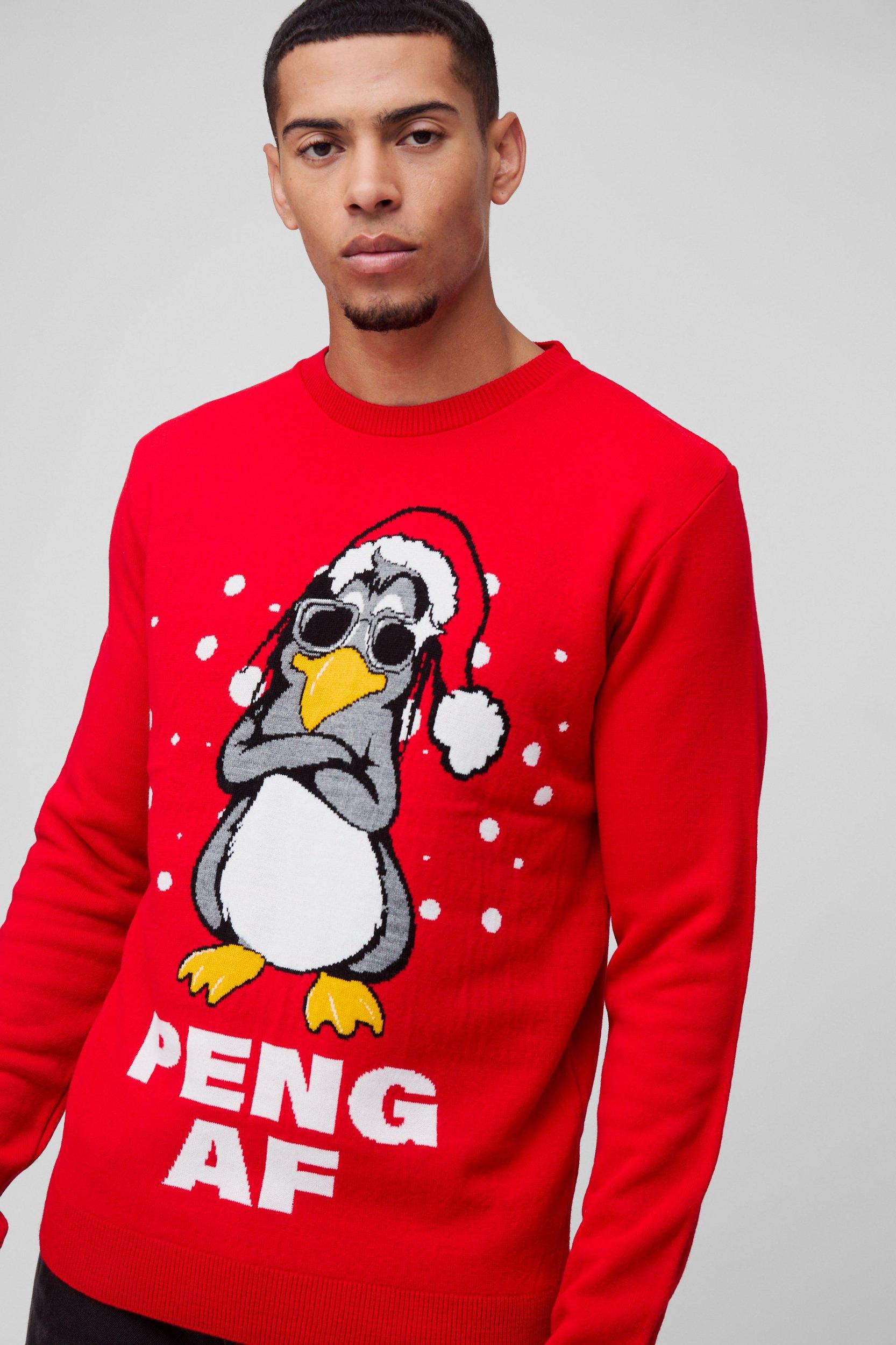 Regular Fit Peng Knitted Christmas Sweater | boohooMAN USA Product Image