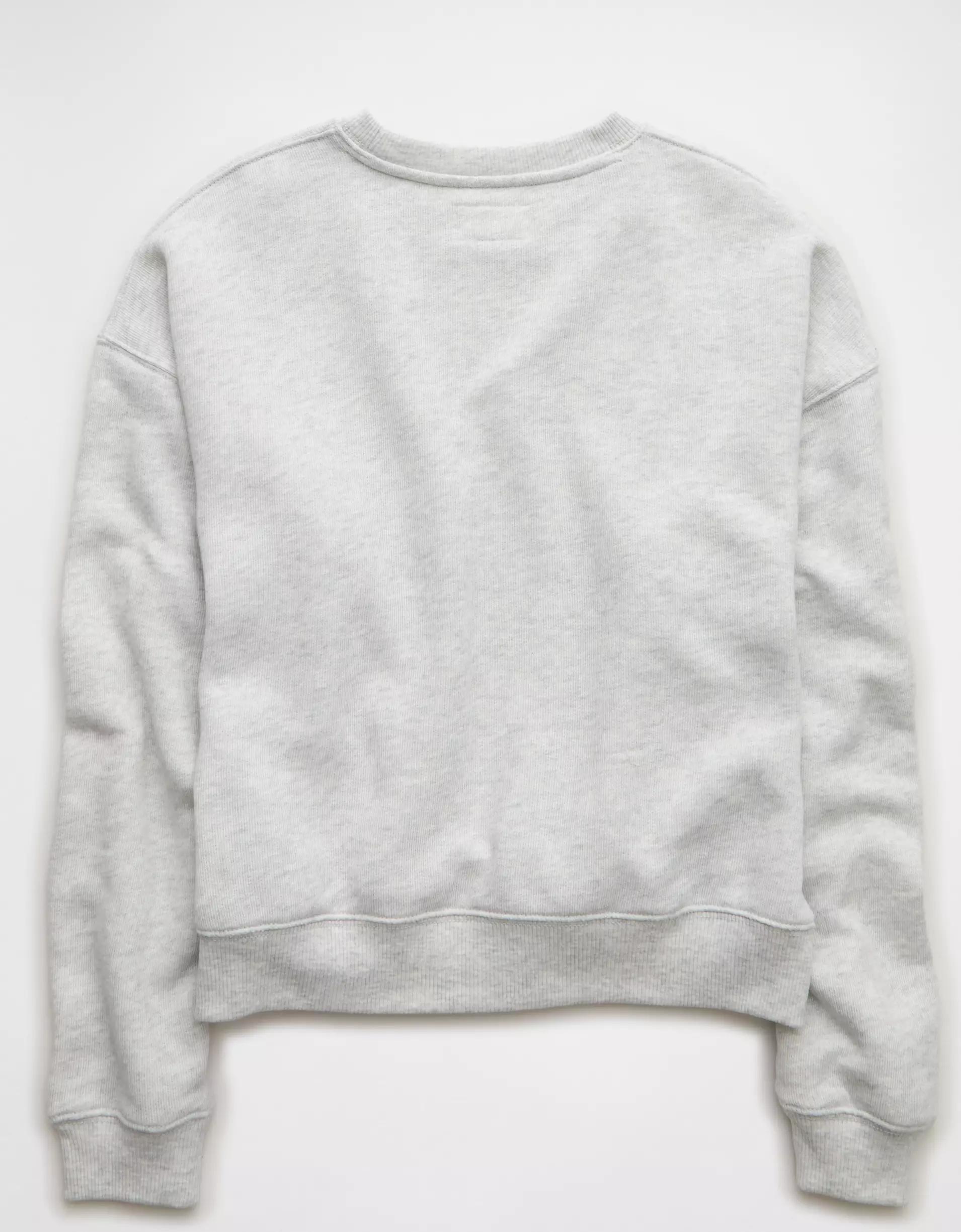 AE Relaxed Crew Neck Sweatshirt Product Image