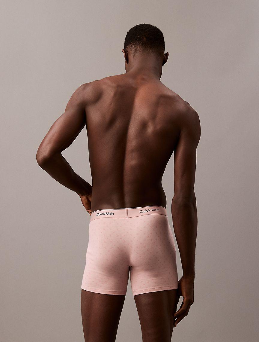 Icon Cotton Stretch V-Day Boxer Brief Product Image