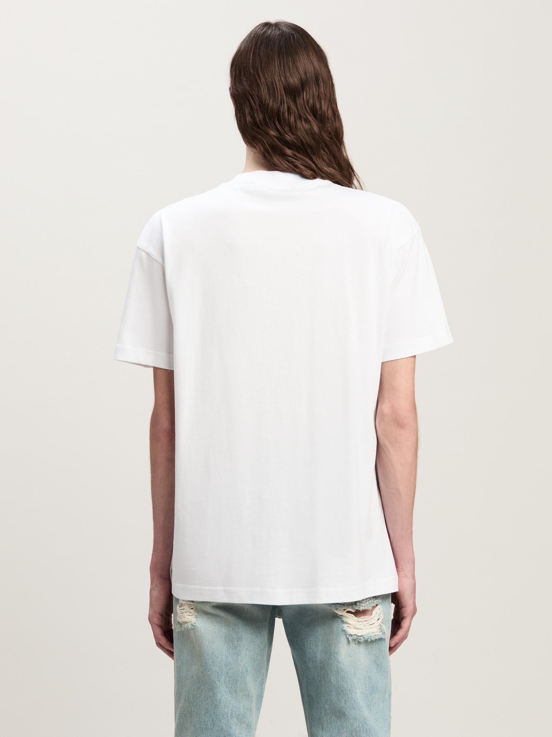 Lightweight Jersey Raglan Standard T-Shirt Male Product Image