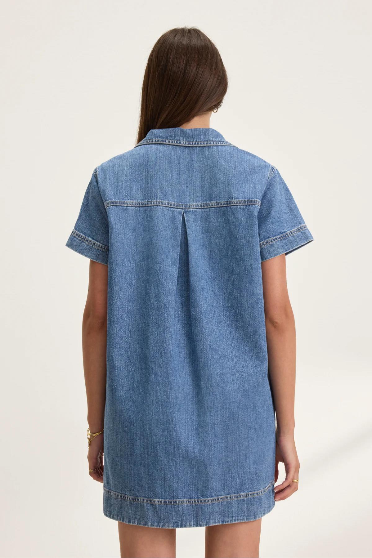 Delana Denim Dress Product Image
