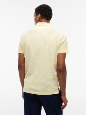 Regular Fit Textured Oxford Slub Polo Product Image